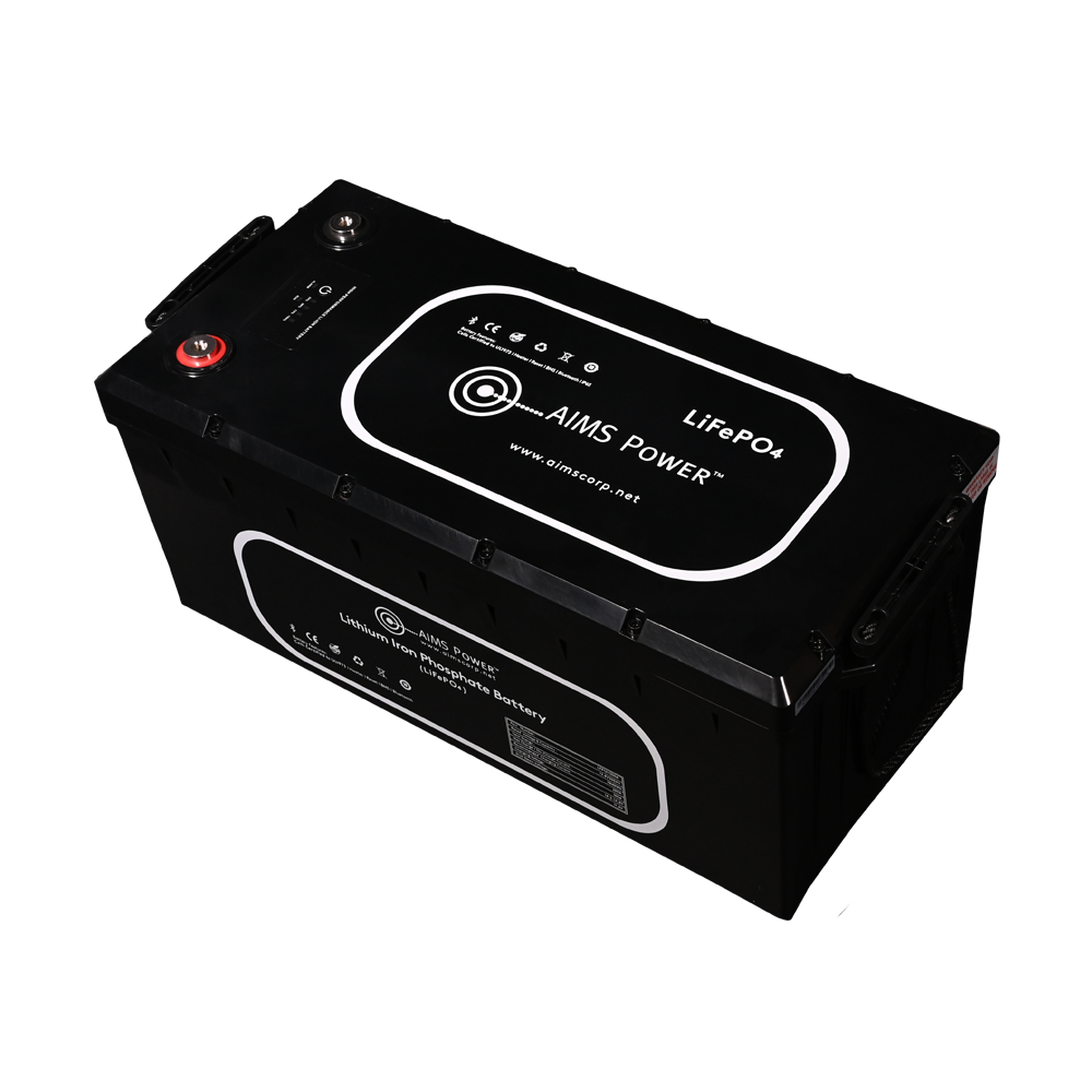 Lithium Battery 300Ah 3.84 kW with Wake Up, Heater & BT Monitoring 12V LiFePO4